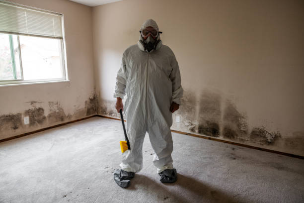 Best Local Mold Removal Service  in Wynantskill, NY